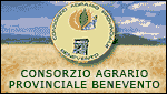 CONSORZIO AGRARIO PROVINCIALE BENEVENTO (BN)