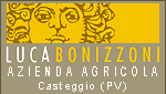 LUCA BONIZZONI - AZIENDA AGRICOLA - CASTEGGIO (PV)
